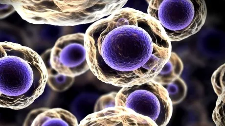 Cancerul unei persoane poate fi tratat cu ajutorul celulelor imunitare împrumutate de la altcineva