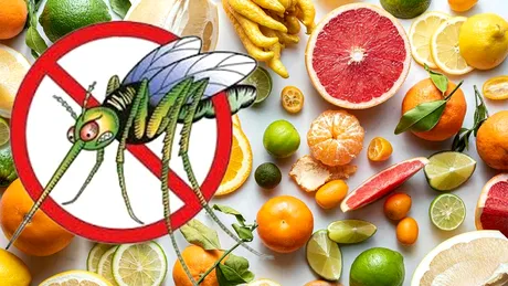 Fructul ieftin care te scapă definitiv de țânțari. Costă doar 2 lei și se găsește în toate supermarketurile românești