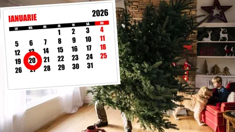 Nu ai strâns încă bradul de Crăciun? De ce ghinion vei avea parte, potrivit superstițiilor, dacă nu l-ai despodobit până pe 20 ianuarie