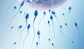 Ecuaţia „spermei perfecte”, cheia fertilităţii în cuplurile care încearcă să conceapă copii