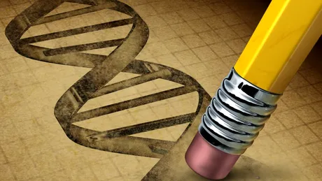 Tehnică de manipulare genetică testată cu succes de cercetătorii americani