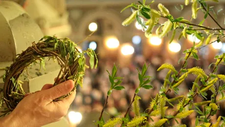 Tradiţii şi superstiţii de Florii 2026. De ce e bine să păstrezi salcie sfinţită în casă