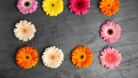 Zodiile care primesc vești bune de Florii 2026. Schimbări neașteptate pentru trei semne zodiacale