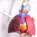 Medicament pentru o boală pulmonară conceput cu ajutorul inteligenței artificiale ar putea „întineri” organismul cu câțiva ani
