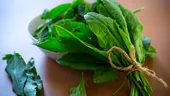 Consumul de verdețuri ar putea reduce hipertensiunea arterială