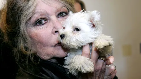 Brigitte Bardot, ca mamă: „Mai bine aveam un câine decât un copil”. Ce relație are cu fiul pe care l-a numit „tumoră canceroasă” când era însărcinată