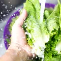 Tipul de salată pe care NU ar trebui să îl speli înainte de consum. Poate crește riscul de contaminare cu bacterii