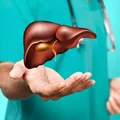 Regim alimentar pentru ficat gras și mărit: alimente permise, interzise, remedii naturiste