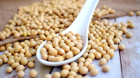 Leguma controversată care reduce semnificativ colesterolul