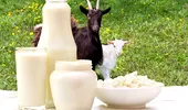 Laptele de capră, o minune pentru sănătate. Descoperă-i beneficiile!