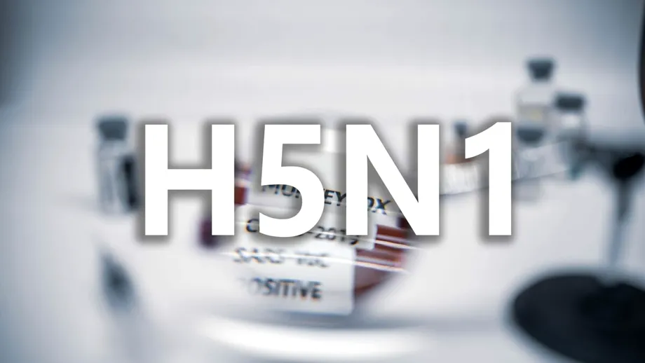 Unde ar fi apărut prima dată virusul de gripă aviară H5N1