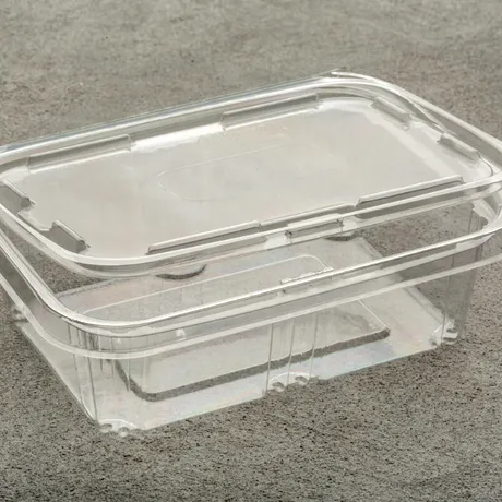 Cum să cureți caserolele de plastic cu bicarbonat de sodiu