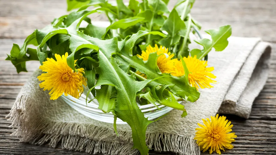 Buruiana transformată de călugări într-un sirop cunoscut drept elixirul de aur