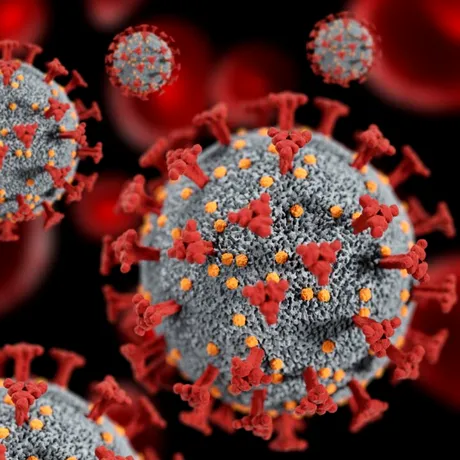 Avertisment global: o „ciupercă mortală” ar putea deveni una dintre cele mai serioase amenințări pentru sănătate