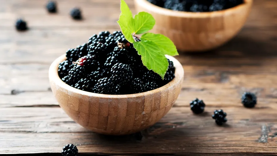 Coacăzele negre ar putea ajuta organismul să ardă mai multe grăsimi. Ce au descoperit cercetătorii