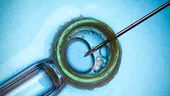 Fertilizarea in vitro: despre mama surogat şi rejuvenarea ovarelor