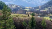„Zona albastră” a României. Satul unde oamenii trăiesc peste 100 de ani, nu merg la medic și mănâncă ce vor
