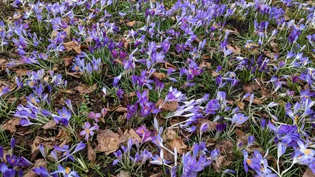 Obiceiuri care îți schimbă instant starea de dispoziție în bine. Sunt gratis!