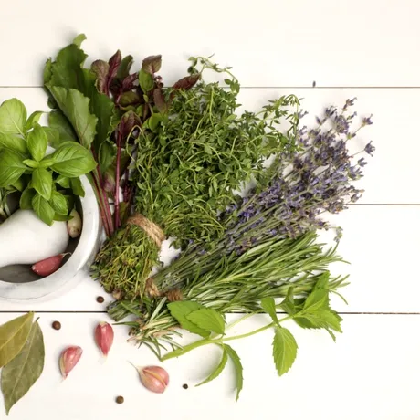 Ierburi care curăță plămânii și calmează tusea. Remedii naturale eficiente