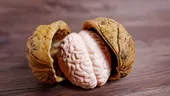 Alimentația pentru sănătatea creierului. 6 diete care reduc riscul de demență