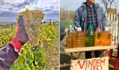 Un român a cumpărat 15 sticle de vin de țară, de la Valea Călugărească până la Focșani, și a făcut un experiment