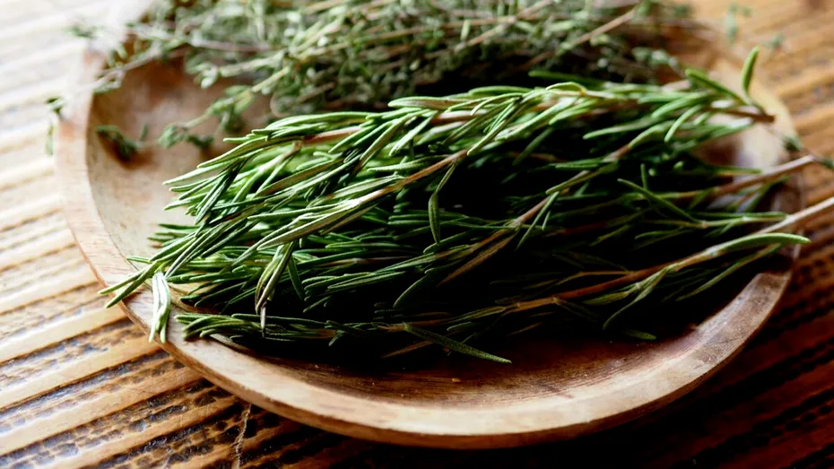 Rozmarin uscat sau proaspăt? Când este bine să folosim fiecare variantă