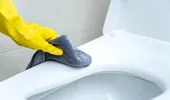 Cum să elimini rapid petele de pe vasul de toaletă. Va fi curat și strălucitor