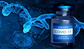 10 întrebări și răspunsuri despre vaccinul anti-COVID ARN mesager: siguranță, reacții adverse, eficacitate