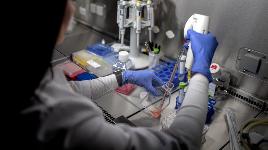 Terapia cu celule stem: o abordare inovatoare pentru tratarea bolilor