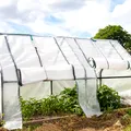 (P) Protecția plantelor de soare excesiv: soluții pentru grădini și culturi