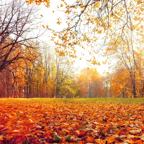 Când se răceşte vremea și vin ploile? Meteorologii anunță vreme schimbătoare până la finalul lunii septembrie