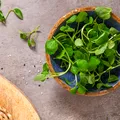„Eroul ascuns din grădină” pe care îl poți mânca. Planta mică, dar surprinzătoare, care devine tot mai populară în bucătăriile urbane