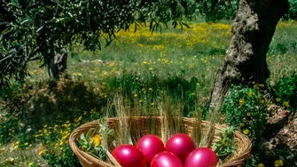 Cum va fi vremea de Paște 2026. Meteorologii au actualizat prognoza pentru luna aprilie