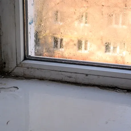 Cum putem preveni apariția mucegaiului în locuință. Sfaturi simple pentru o casă curată și sănătoasă