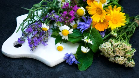 10 flori pe care poți să le mănânci. Beneficiile incredibile ale florilor comestibile