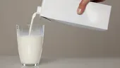Ești fan al laptelui vegetal? Ce trebuie să știi despre emulsificatori, potrivit unui expert