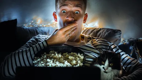 Alimente de sărbători periculoase pentru câini și pisici. Ce să eviți pentru siguranța necuvântătorului tău