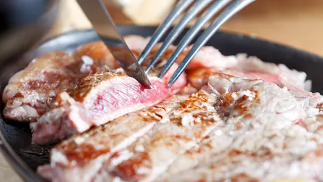 Dieta Leului - ce rezultate spectaculoase promite și ce obții de fapt