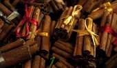 Scorțișoara, noul „aliat” al grădinarilor. Cum ajută acest condiment sănătatea plantelor