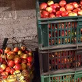 Mărul ras pentru diaree: de unde vine acest remediu și ce trebuie să știm despre el?