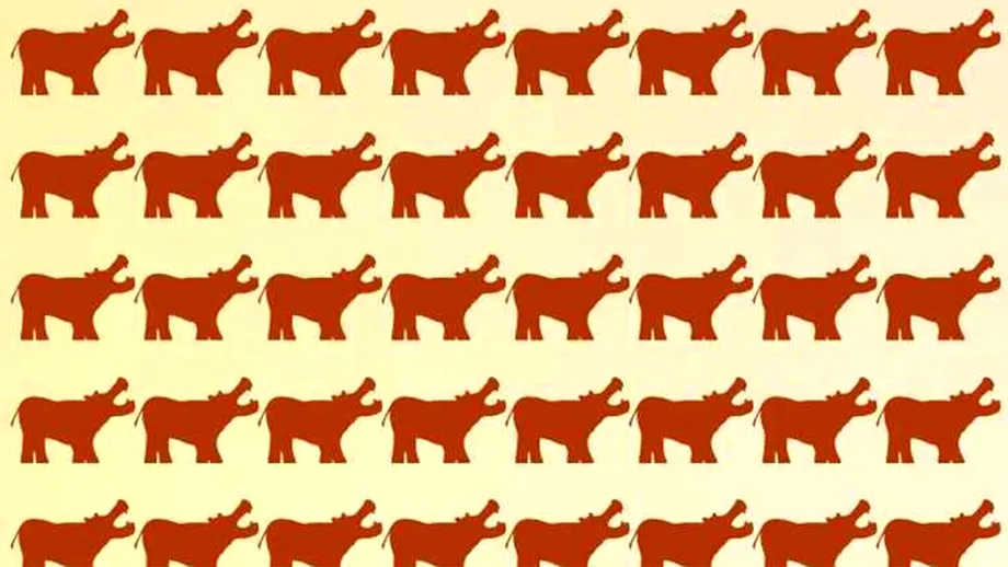 Test de logică | Găsiți rinocerul ascuns printre hipopotamii din imagine!