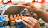 Peste 1,5 milioane de cutii de ouă, retrase din magazine din cauza riscului de Salmonella