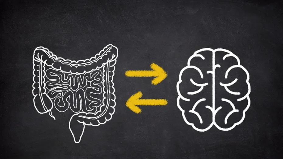 Legătura surprinzătoare dintre ADHD și problemele digestive. Studiul uriaș pe 1,9 milioane de oameni
