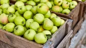 Cum să păstrezi merele proaspete până la 6 săptămâni! Așa vei reduce risipa alimentară