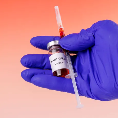 Noi informații despre bărbatul cu hantavirus confirmat la Arad! Tânărul de 25 de ani ar fi contractat o tulpină asociată rozătoarelor