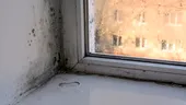 Cum putem preveni apariția mucegaiului în locuință. Sfaturi simple pentru o casă curată și sănătoasă