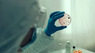 Focar de norovirus pe o navă de croazieră din Caraibe: peste 100 de persoane infectate. Cum diferă de Covid-19 și Hantavirus