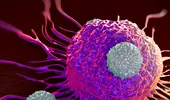 Descoperire uriaşă: toate tipurile de cancer ar putea fi vindecate cu un singur tratament