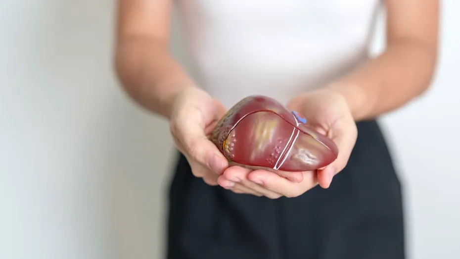 Cum să verifici acasă dacă ai ficatul gras, respectând sfaturile unui gastroenterolog