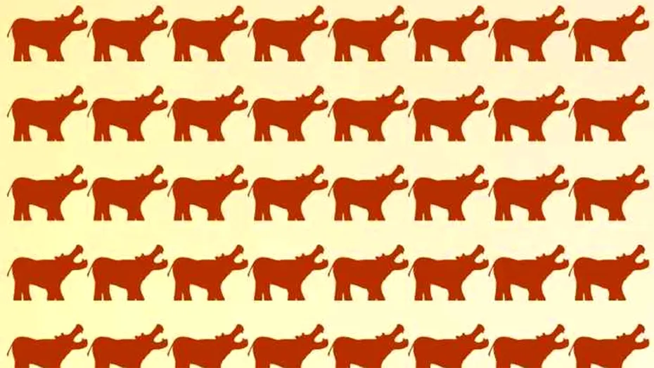 Test de logică | Găsiți rinocerul ascuns printre hipopotamii din imagine!